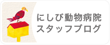 にしび動物病院 スタッフブログ 