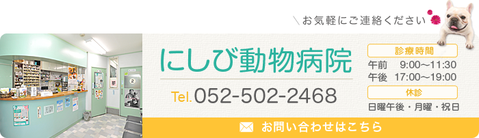 にしび動物病院052-502-2468